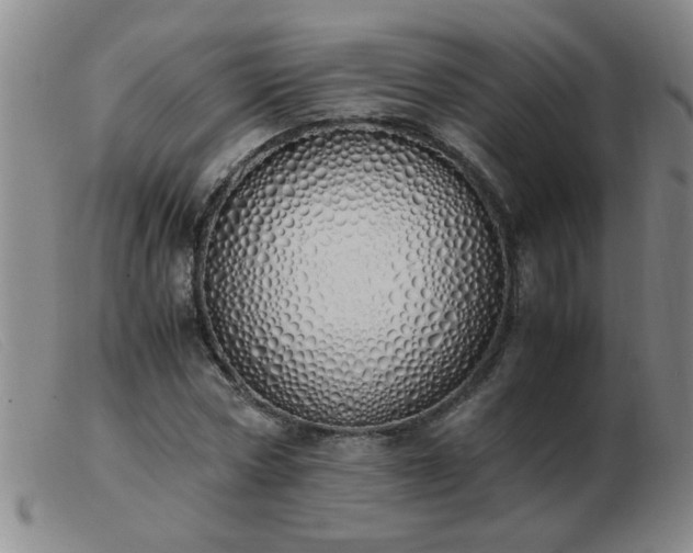 X0000103500778200809191944