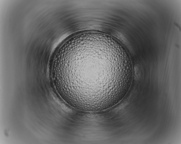 X0000103500780200809191944