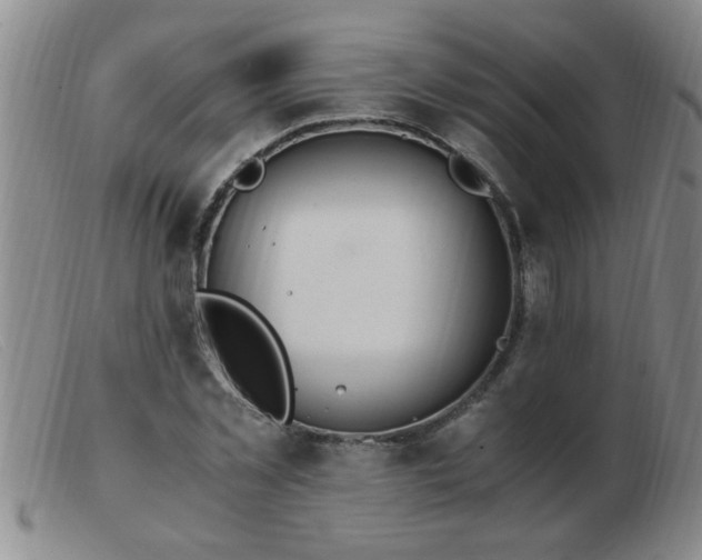 X0000103500781200809191944