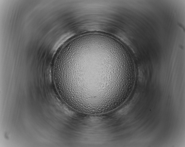 X0000103500782200809191944