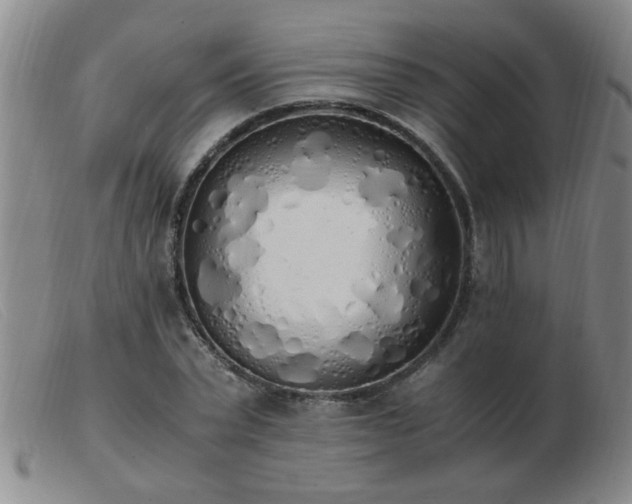 X0000103500783200809191944