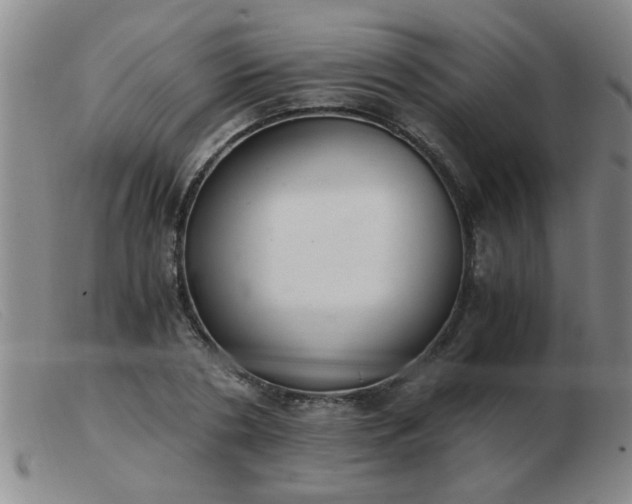 X0000103500786200809191944