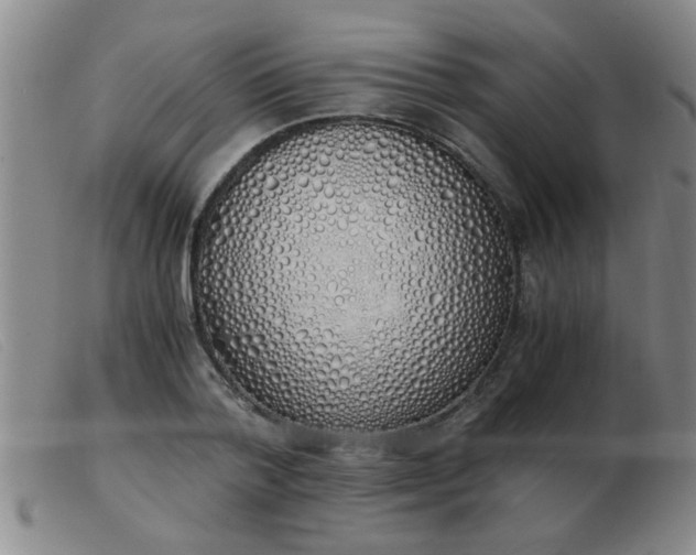 X0000103500788200809191944