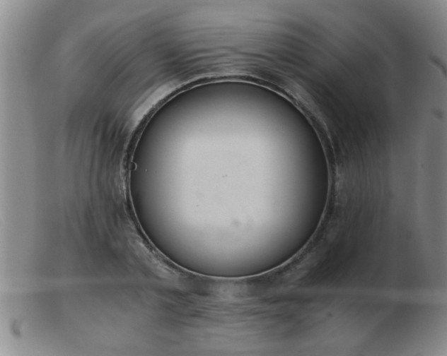 X0000103500789200809191944