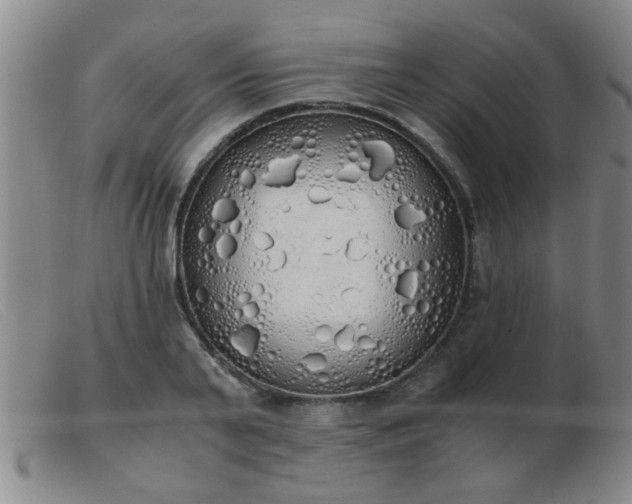 X0000103500791200809191944