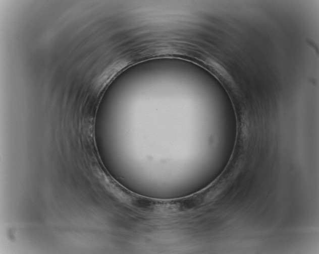 X0000103500793200809191944