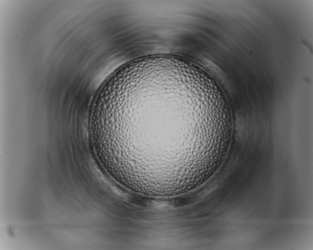 X0000103500794200809191944