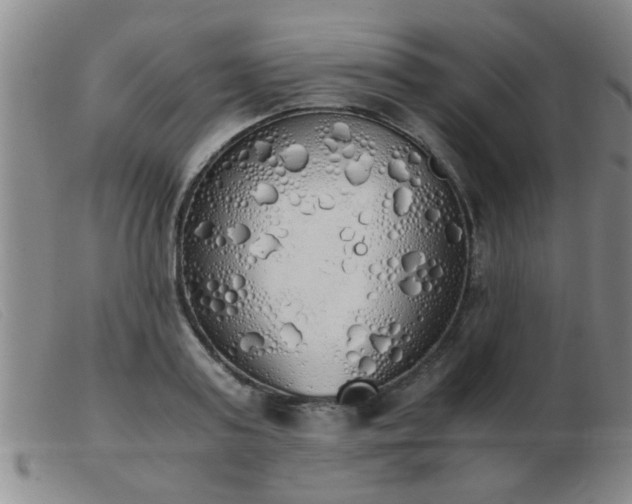 X0000103500795200809191944