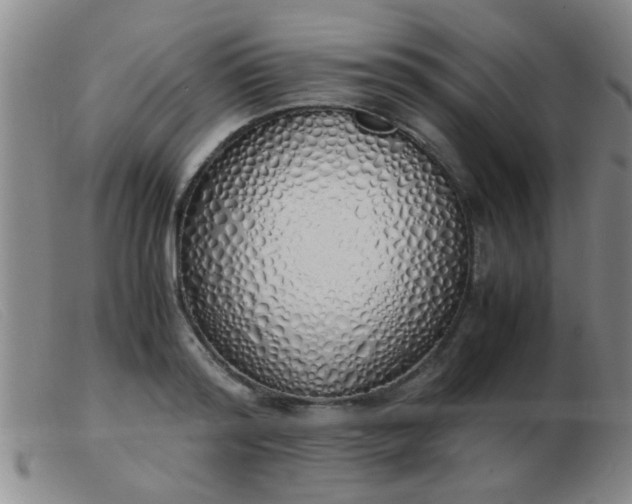 X0000103500796200809191944