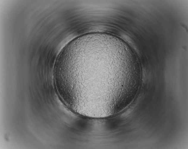 X0000103500802200809191944