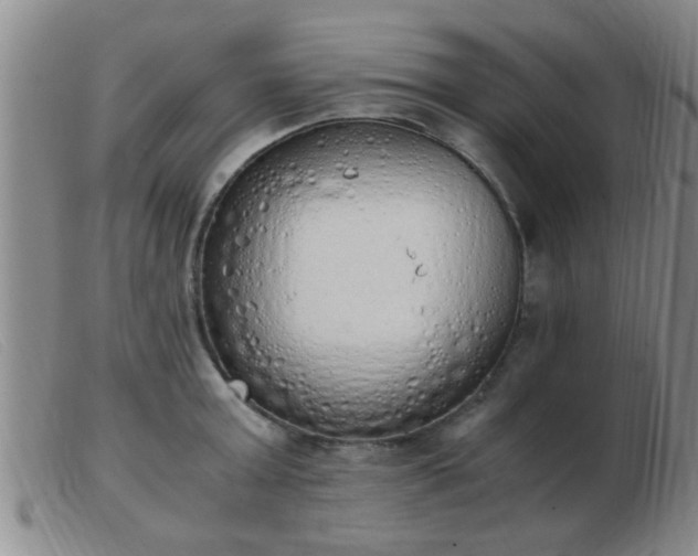 X0000103500803200809191944