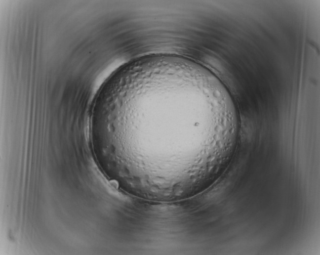 X0000103500804200809191944