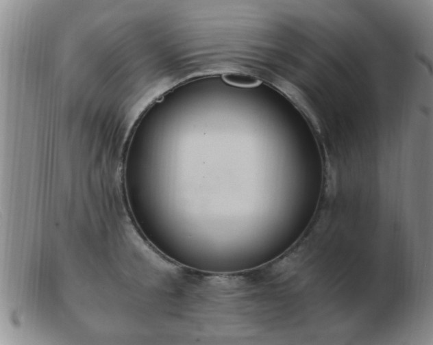 X0000103500805200809191944