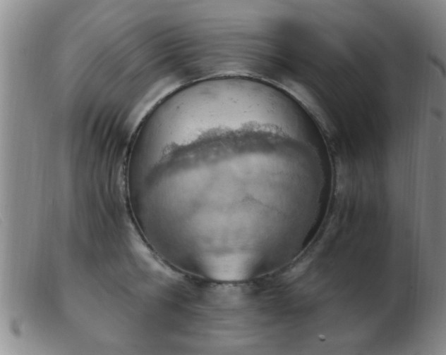 X0000103500806200809191944