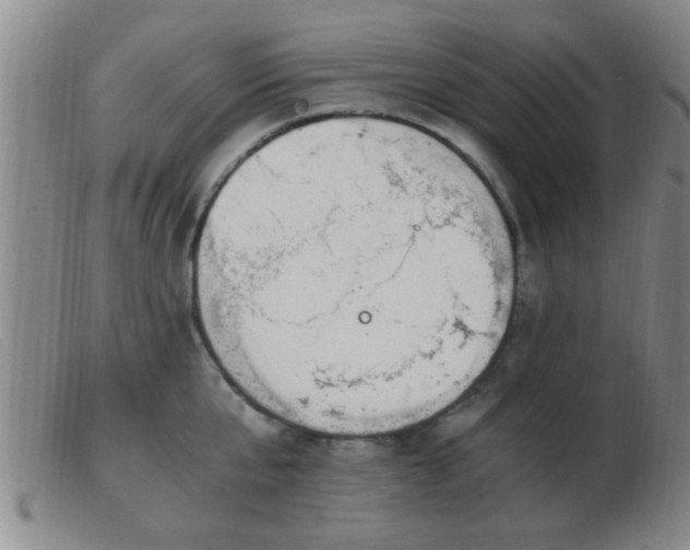 X0000103500807200809191944