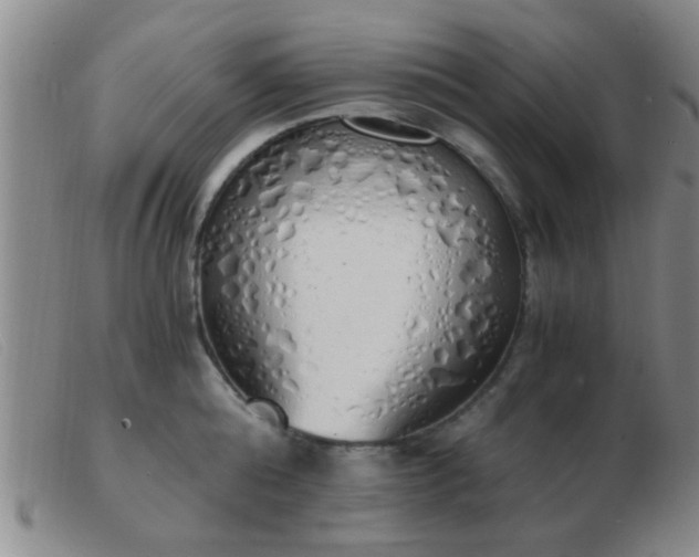 X0000103500808200809191944