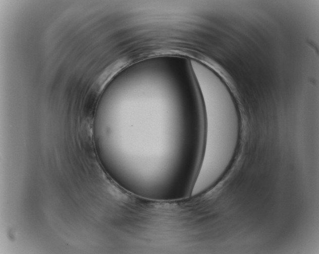 X0000103500809200809191944