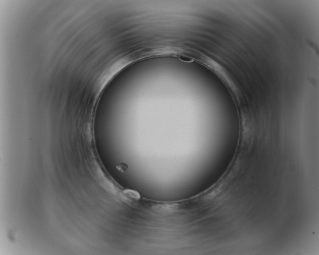 X0000103500810200809191944