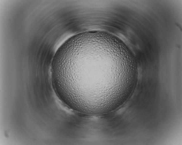 X0000103500814200809191944