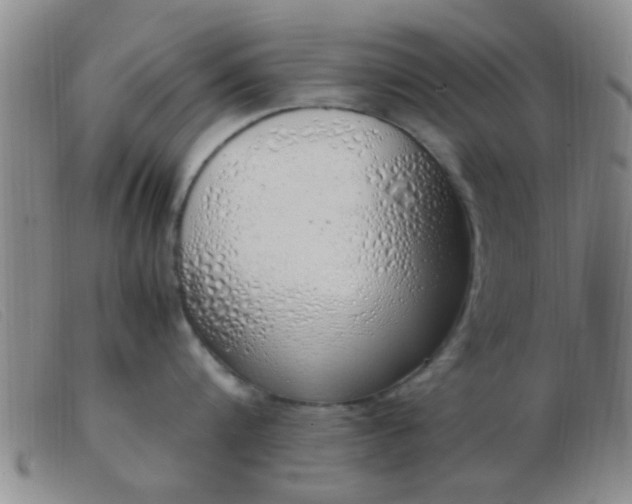 X0000103500816200809191944