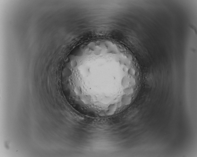 X0000103500817200809191943