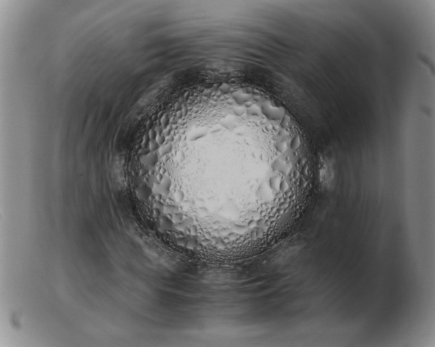 X0000103500819200809191943