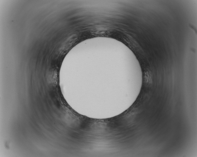 X0000103500820200809191943