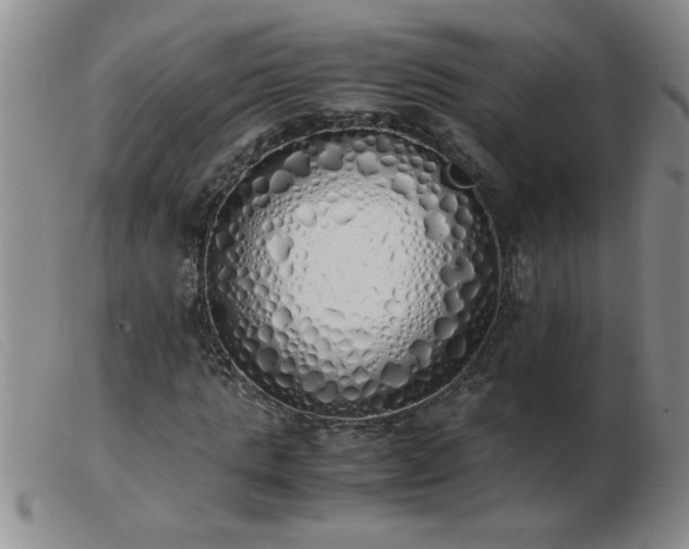 X0000103500821200809191943