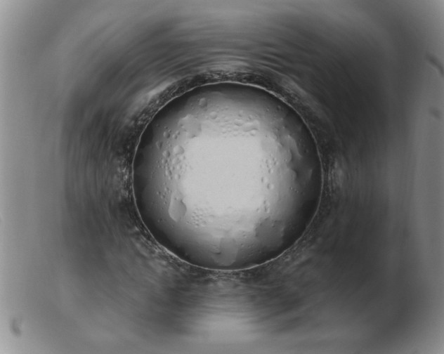 X0000103500822200809191943