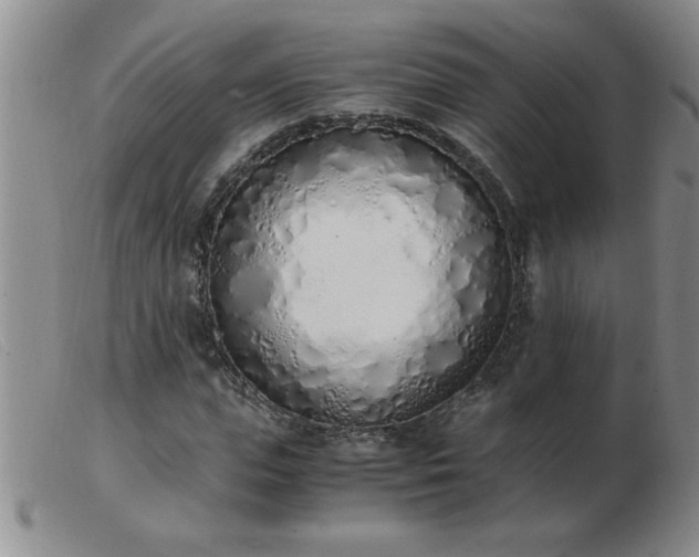 X0000103500823200809191943