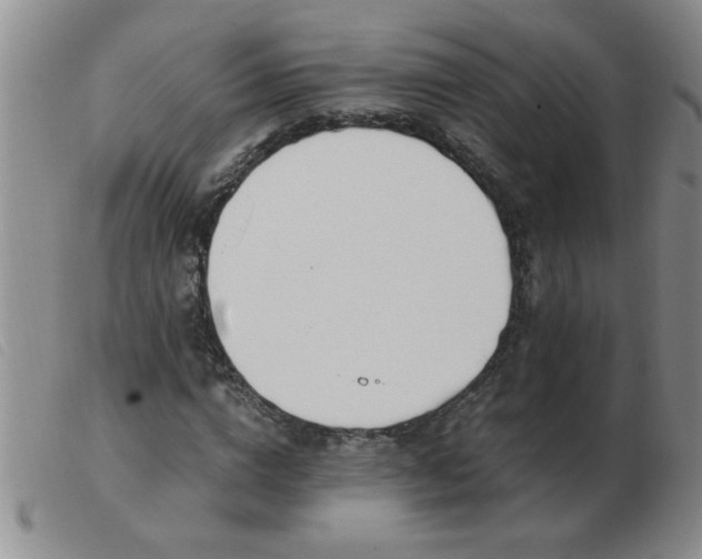 X0000103500824200809191943