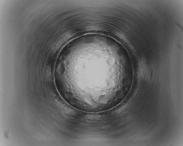 X0000103500825200809191943