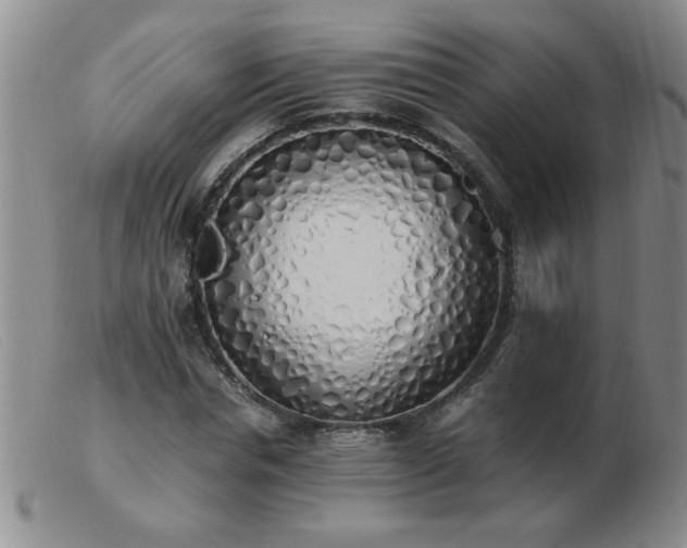 X0000103500826200809191943