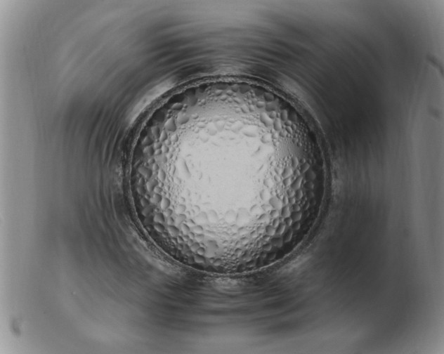 X0000103500827200809191943