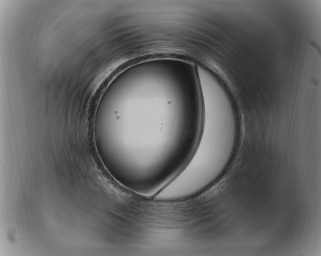 X0000103500828200809191943