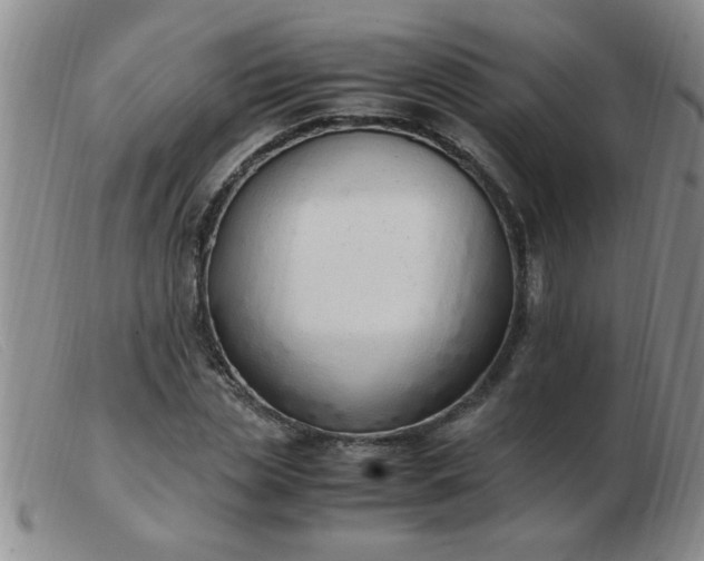 X0000103500829200809191943