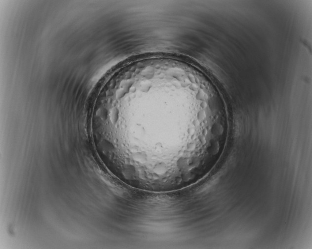 X0000103500830200809191943