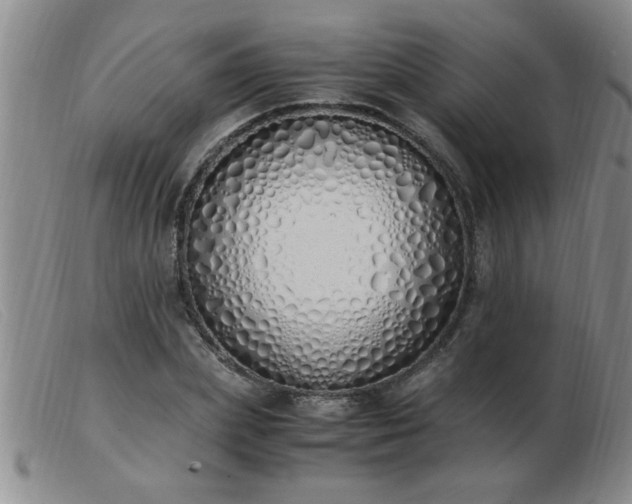 X0000103500831200809191943