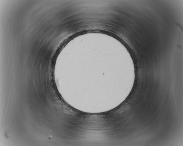 X0000103500832200809191943