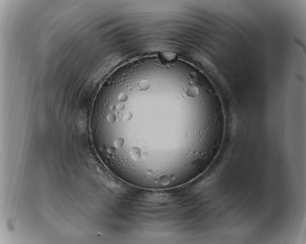 X0000103500833200809191943