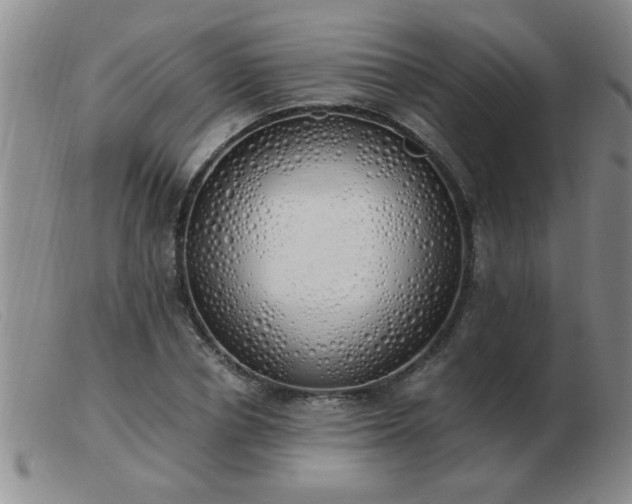 X0000103500834200809191943