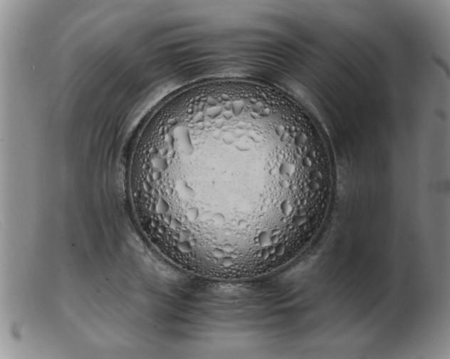 X0000103500835200809191943