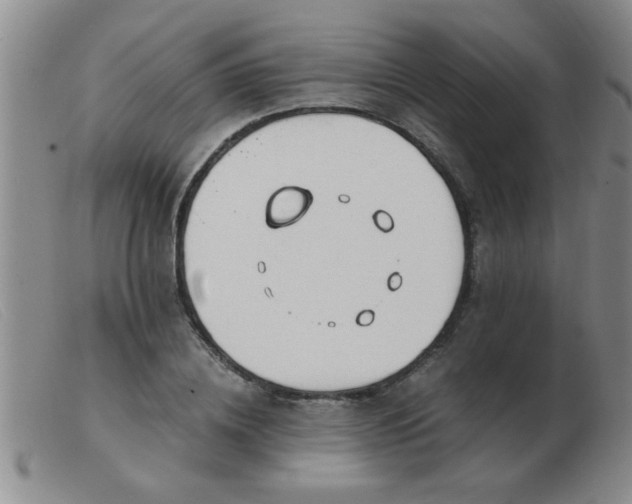 X0000103500836200809191943