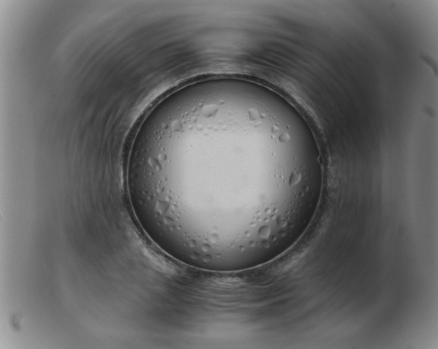 X0000103500837200809191943