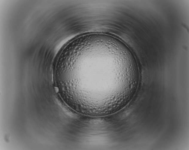 X0000103500838200809191943