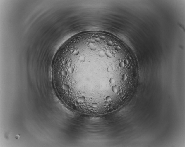 X0000103500839200809191943