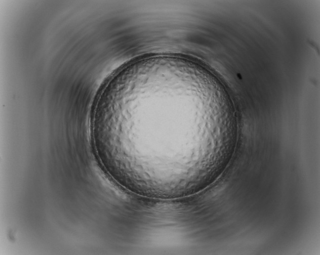 X0000103500840200809191943