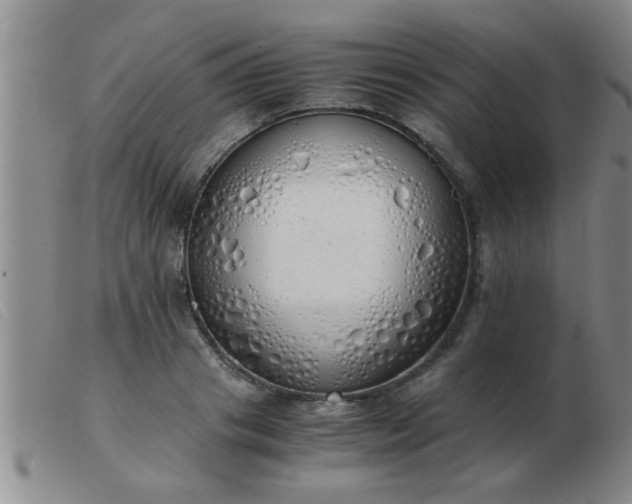 X0000103500841200809191943