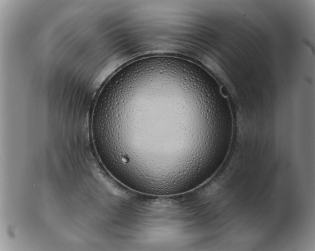 X0000103500842200809191943