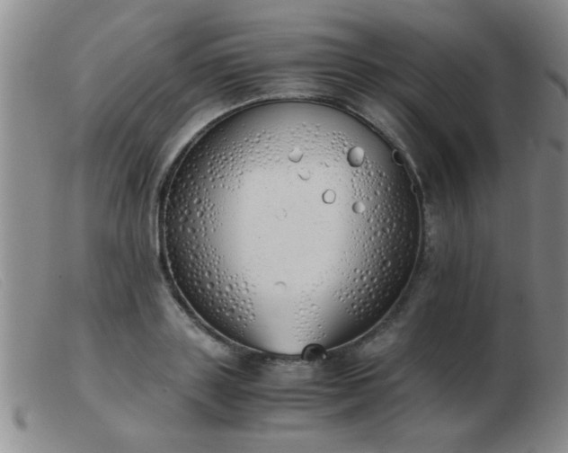 X0000103500843200809191943